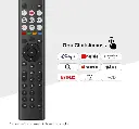 40A4Q (6).webp