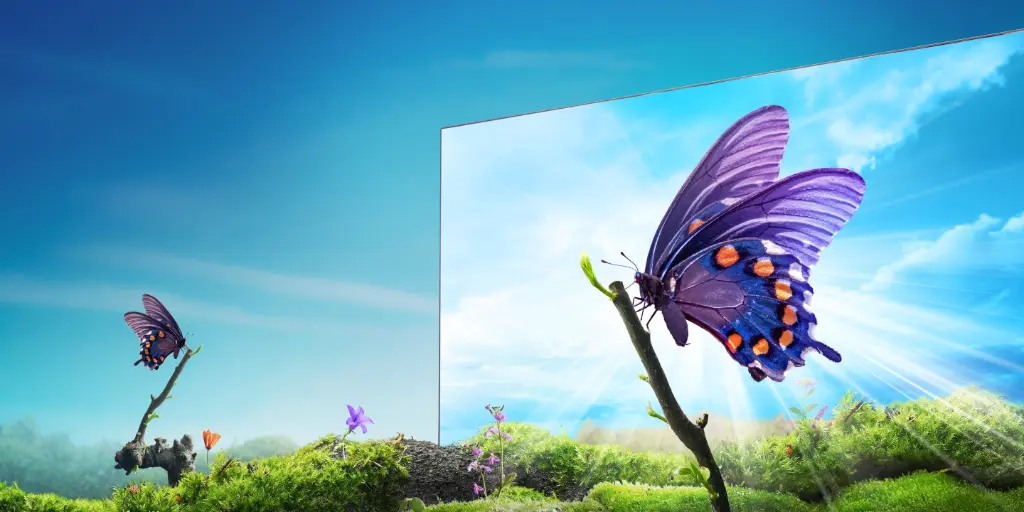 58A61N (2).webp